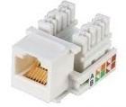 家ネットワークCat6 RJ45の台形ジャッキIDCのセリウム8P8C金Pinのモジュラー ジャックYH7011